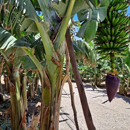 Rk Hacienda La Rekompensa Hébergement de vacances