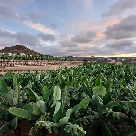 Rk Hacienda La Rekompensa * Arucas