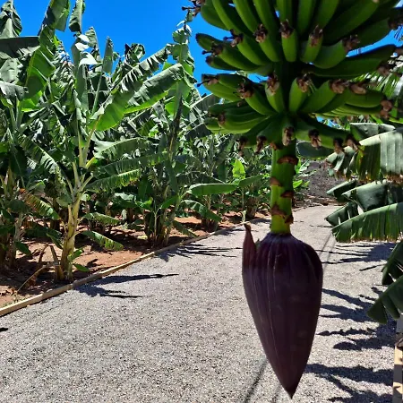 Rk Hacienda La Rekompensa * Arucas